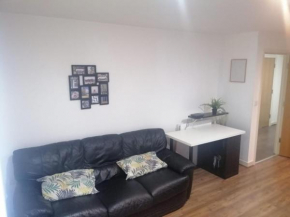 Cozy London Apartment great for Professionals